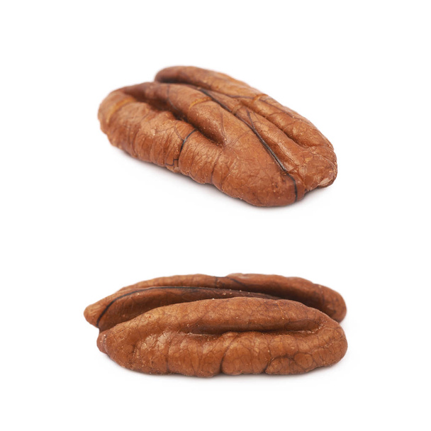 Single pecan nut isolated - Foto, Imagem