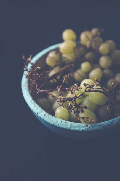fresh bio Vineyard - Foto, Imagen