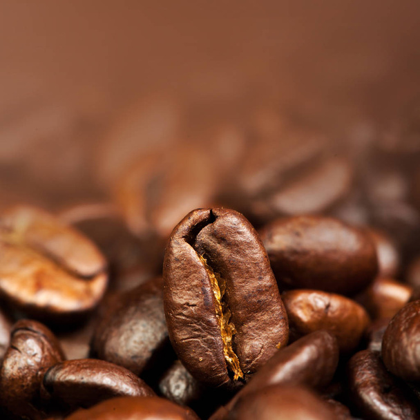 Roasted Coffee Beans - Foto, afbeelding
