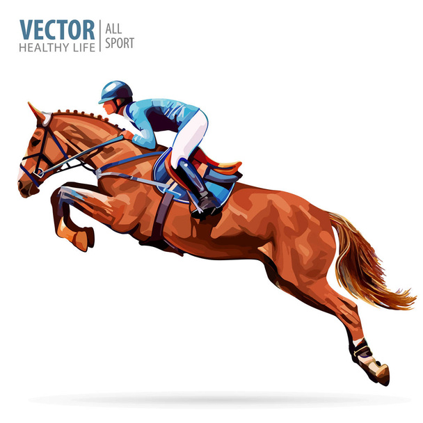 Jockey on horse. Champion. Horse riding. Equestrian sport. Jockey riding jumping horse. Poster. Sport background. Isolated Vector Illustration. - Vector, Image
