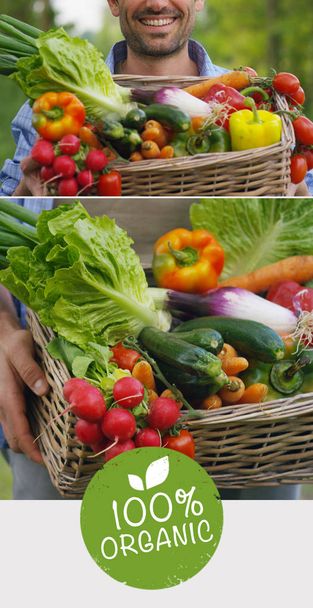 Collage of 2 photos 100% Organic, a basket of vegetables in the hands of a farmer, in the background of nature The concept of biological, bio-products, bio-ecology, grown independently, vegetarians. - Photo, Image