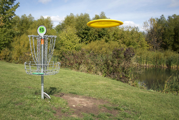 Frisbee γκολφ στόχο με δίσκο - Φωτογραφία, εικόνα