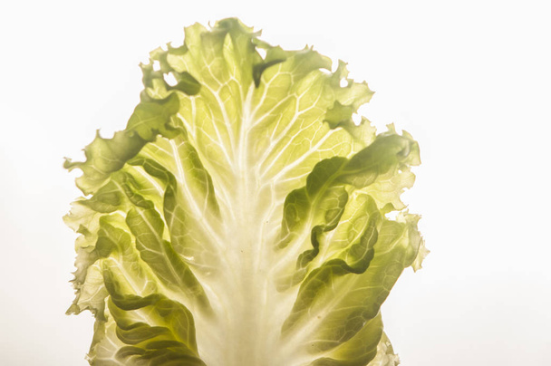 frische grüne Salatblätter - Foto, Bild