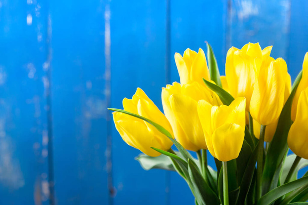 Kytice žlutých tulipánů na modrém pozadí - Fotografie, Obrázek