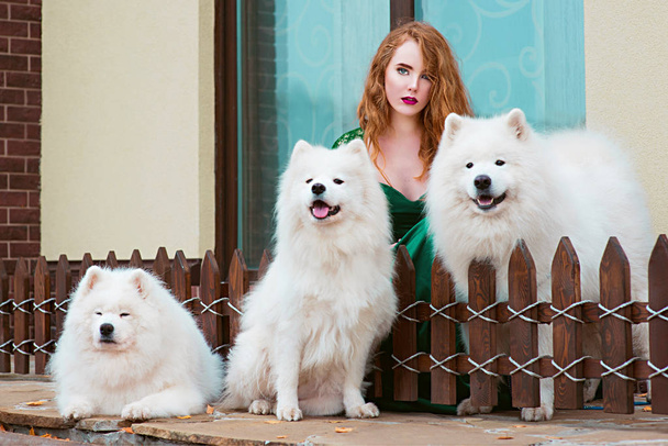 red hair (ginger) beautiful young girl in long green dress with three samoyeds outdoor - Photo, Image