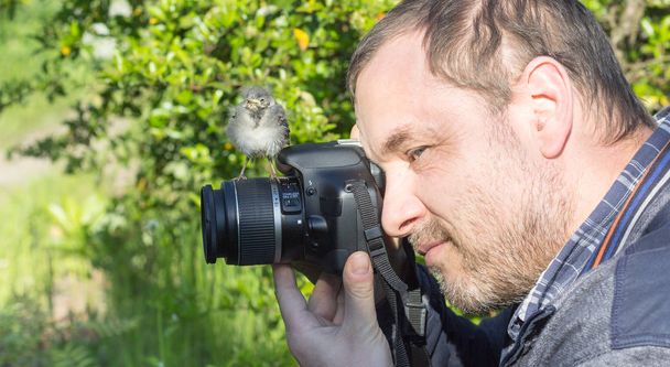  pájaro cantor y fotógrafo
 - Foto, Imagen