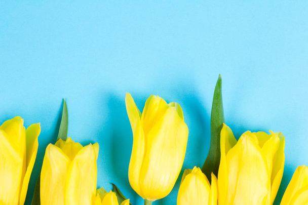 Ramo de hermosos tulipanes amarillos frescos sobre fondo azul
 - Foto, imagen