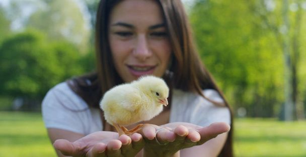 On a sunny day, smiling young beautiful girl holding a small yellow chicken in the hands, in the background of green grass and trees, concept: environment, love, ecology, young girl, beautiful nature. - Foto, afbeelding