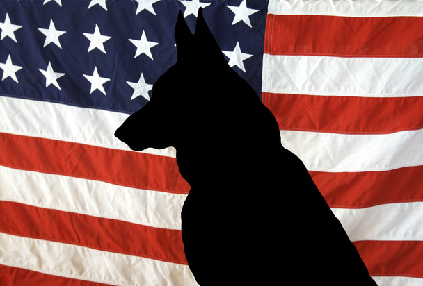 Силуэт немецкой овчарки на флаге США
 - Фото, изображение