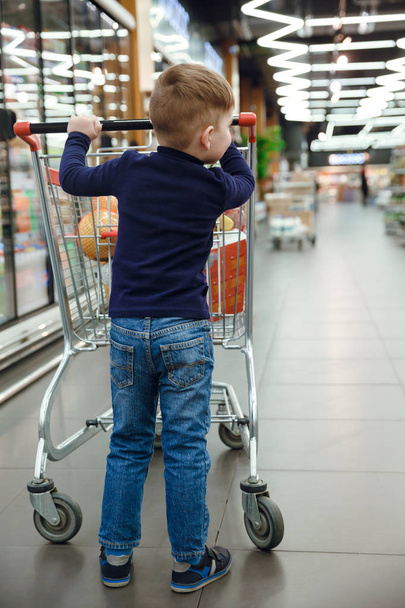 Vertical image of young boy with shopping trolley - Foto, Imagen