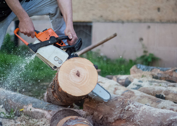 Woodman cuts boulder with a chainsaw, firewood, felling of trees - Φωτογραφία, εικόνα