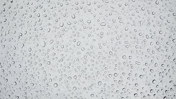 ガラスに水滴、雨滴 - 写真・画像