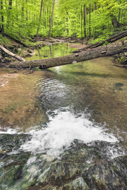 En aval - Indiana Creek
 - Photo, image