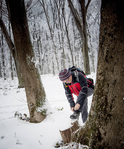 Kış zamanında, orman hiking - Fotoğraf, Görsel