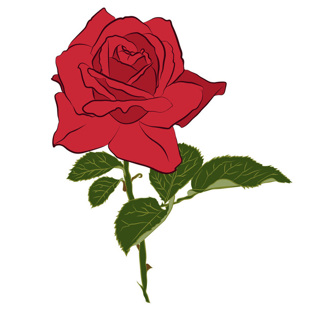 Όμορφο κόκκινο τριαντάφυλλο, απομονώνονται σε λευκό φόντο. Βοτανική σιλουέτα του λουλουδιού. Επίπεδη σχηματοποίηση χρώμα - Διάνυσμα, εικόνα