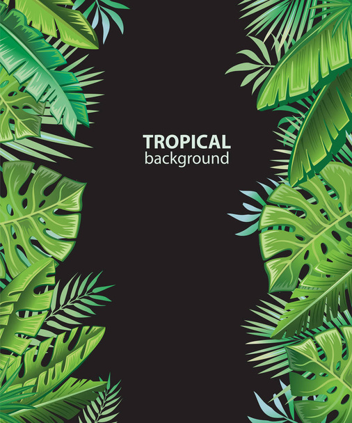 Background with tropical plants  - Vecteur, image