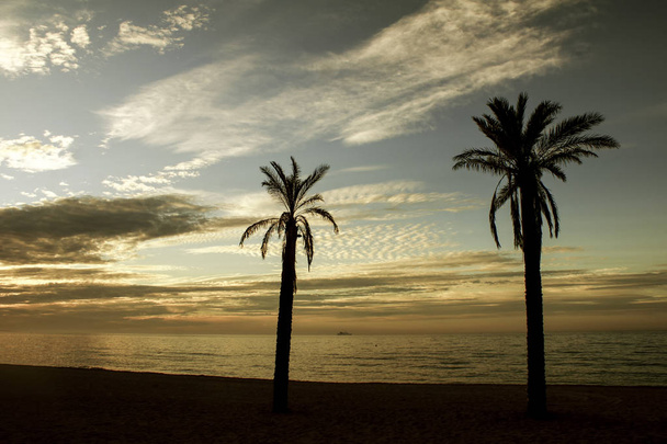 A part of Marbella, Andalúzia gyönyörű napkelte - Fotó, kép