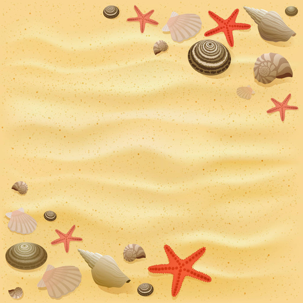Sandy háttérrel, tengeri csillag és a tengeri kagylókból - Vektor, kép