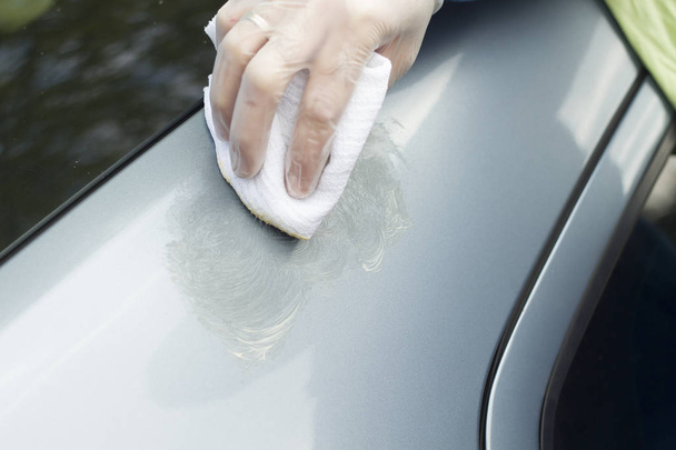 Cleaning of the paint surface with car paints. - 写真・画像