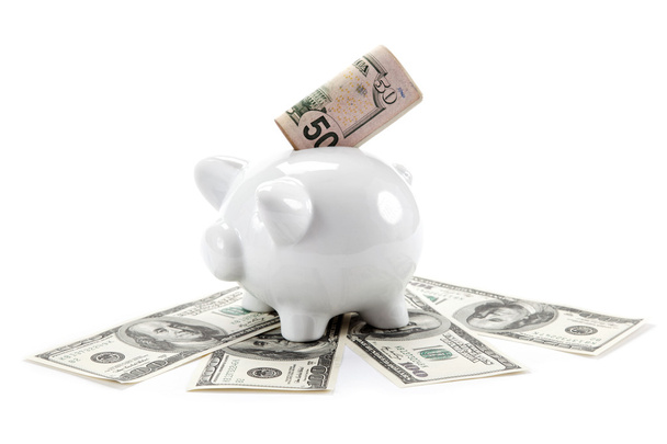 Money and piggy bank isolated on white background. - 写真・画像