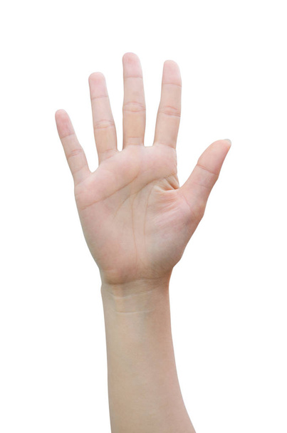 Female hand counting - Foto, immagini
