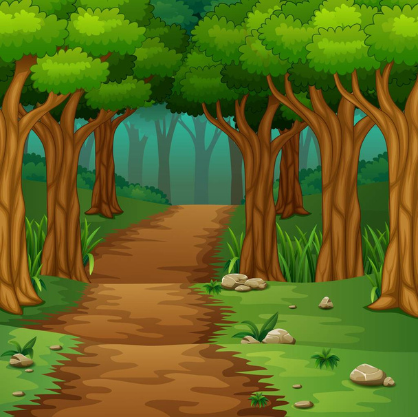 Forest scene with dirt road - Vector, Image