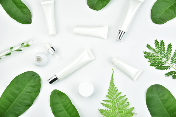 Kozmetik şişe kapları ile yeşil bitki yaprakları, mock-up marka için boş etiket paketi - Fotoğraf, Görsel