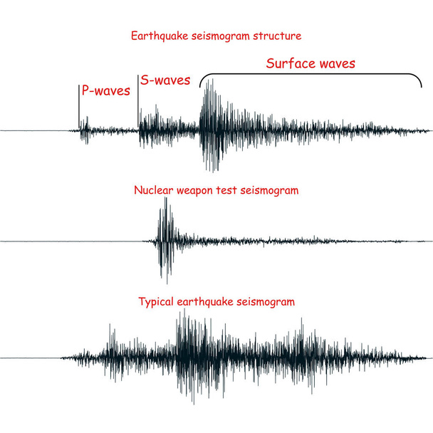 地震記象のグラフ セット. - ベクター画像