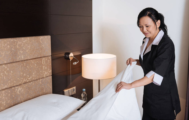 Hard working professional hotel maid doing her duties - 写真・画像