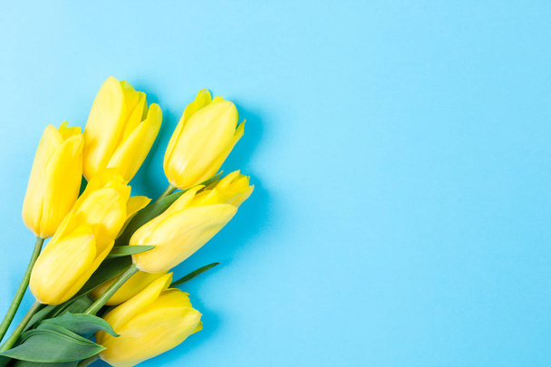 Csokor friss szép sárga tulipán, a kék háttér - Fotó, kép
