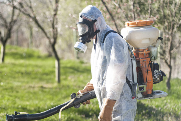 若い農夫の orchar の化学薬品とアプリコットの木の噴霧 - 写真・画像