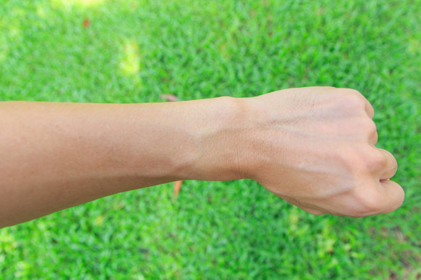 草の上の人間の手首 - 写真・画像