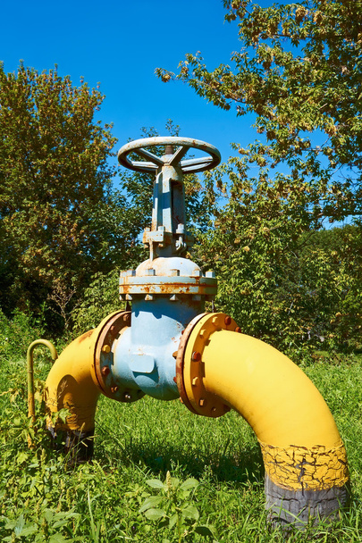 Gas pipe with a valve on a green lawn - Photo, Image