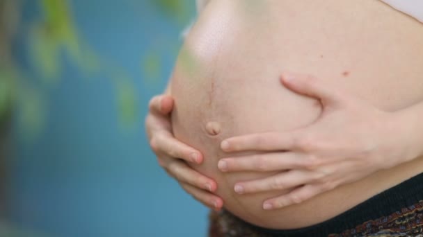 Mujer embarazada tocando el vientre - Imágenes, Vídeo