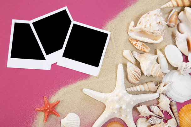 Summer background with the seashells - Zdjęcie, obraz