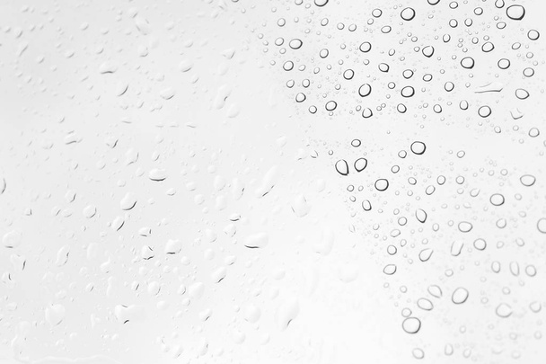 Gotas de agua sobre vidrio, blanco y negro
 - Foto, Imagen