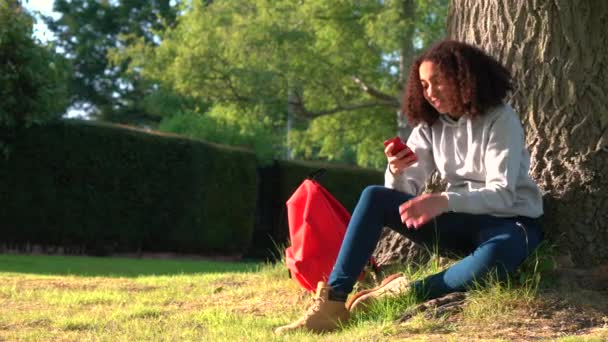 4K video clip of beautiful healthy mixed race African American girl teenager sitting by a tree with a red backpack using a cell phone sms text messaging - Filmagem, Vídeo