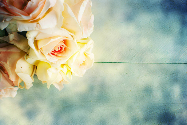schöne frische Rosen Blumen  - Foto, Bild