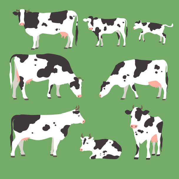 Colored grazing cows on green background - Vector, Image