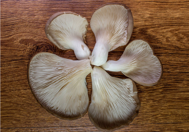 Свежие устричные грибы
 - Фото, изображение