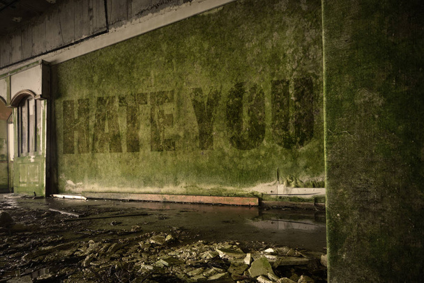 текст ненавидіти тебе на брудній стіні в покинутому зруйнованому будинку
 - Фото, зображення