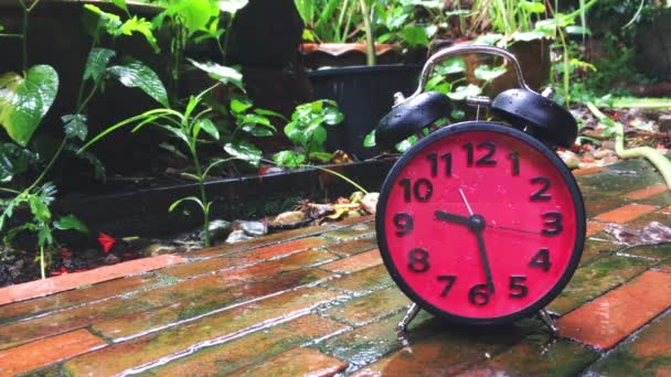 Time lapse of a Clock speeding up on rainy day  - 映像、動画