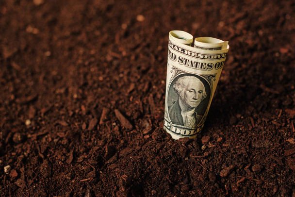 Dollar biljetten cash geld in grond grond, inkomen in agricultur - Foto, afbeelding