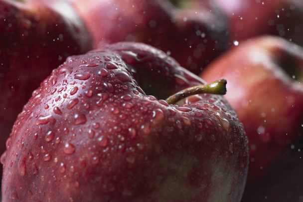 Ripe fresh apple - Photo, Image