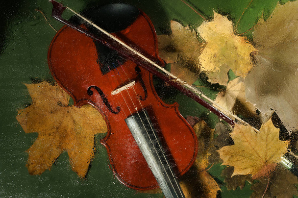 Hegedű és őszi levelek - Fotó, kép