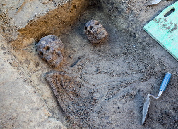 Fouilles archéologiques avec squelettes - Photo, image