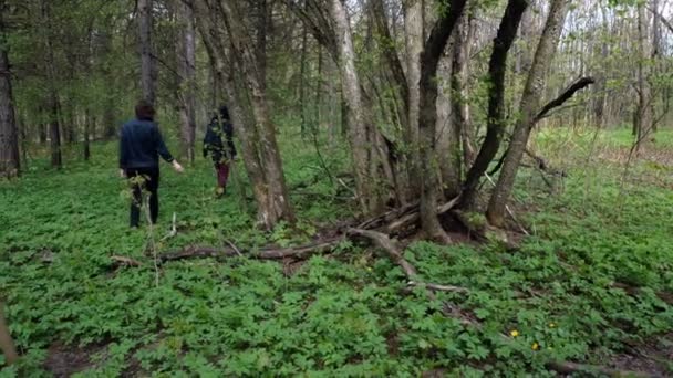 Guy and a girl are walking through the forest - Кадри, відео