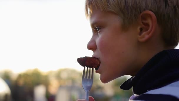 the child is eating barbecue in the fresh air. closeup - Footage, Video