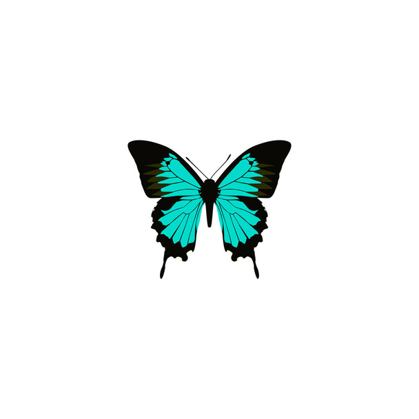 現実的な蜆蝶要素。きれいな背景に分離された現実的な銅のベクター イラストです。蜆蝶、ブルーウィング、青シンボルとして使用できます。. - ベクター画像