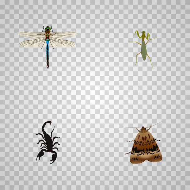 realistische Schmetterling, Heuschrecke, Libelle und andere Vektorelemente. Set von Tier realistischen Symbolen enthält auch Schmetterling, giftige, fliegen Objekte. - Vektor, Bild